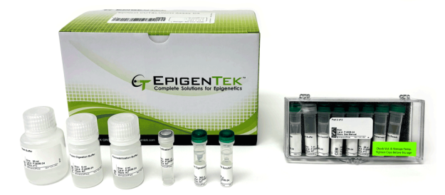 EpiNext CUT&LUNCH蛋白/DNA復(fù)合物富集試劑盒