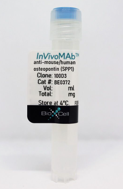 InVivoMAb抗小鼠/人骨橋蛋白(SPP1)