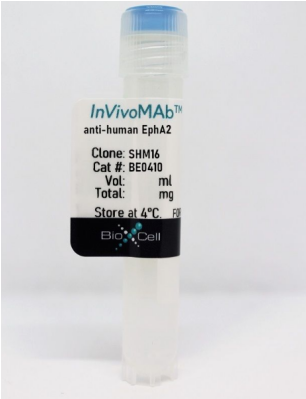 InVivoMAb抗人EphA2