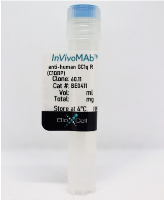 InVivoMAb抗人GC1q R(C1QBP)