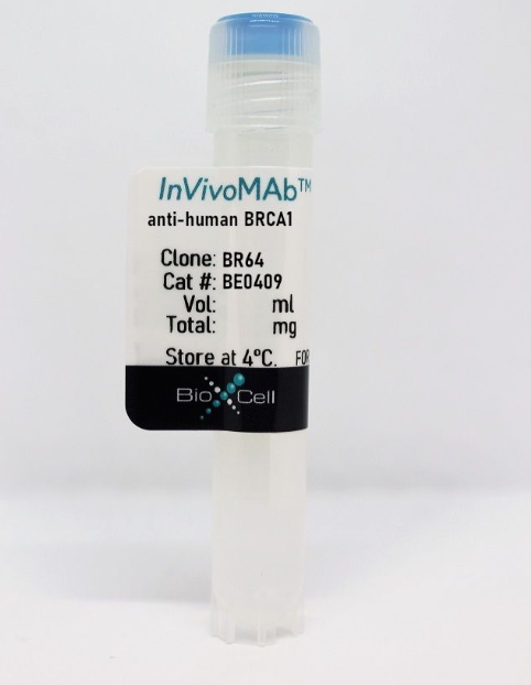 InVivoMAb抗人GPC-2