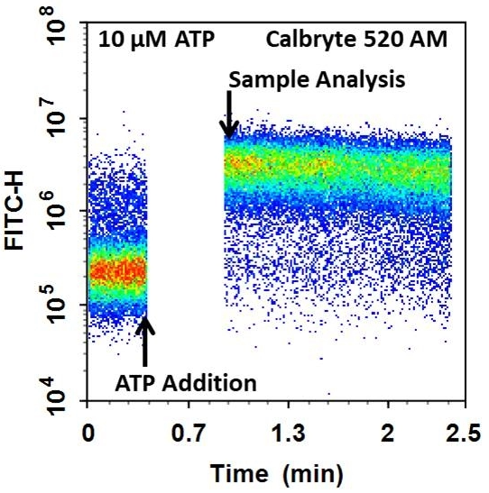 樣品實驗協(xié)議