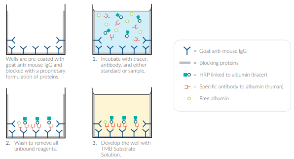 白蛋白（人）ELISA試劑盒