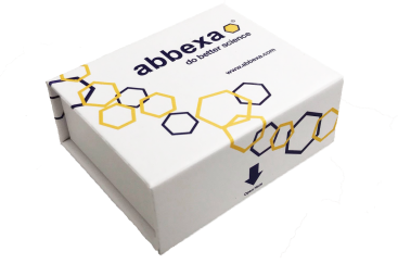 狂犬病病毒核蛋白(RABV N)抗體(生物素)