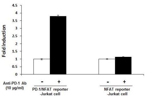 PD-L1/TCR激活劑-CHO重組細(xì)胞系
