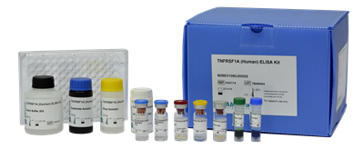 尿素檢測試劑盒
