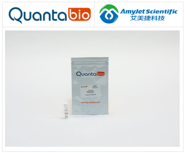 qScript cDNA超混合