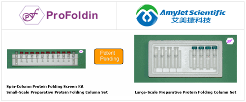 旋轉(zhuǎn)柱蛋白折疊篩試劑盒