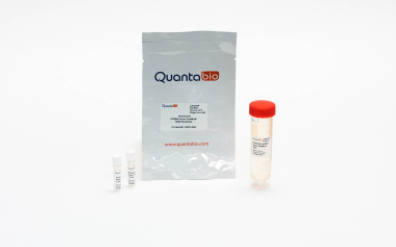 Quantabio