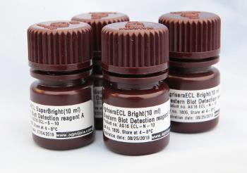 KLH|匙孔血藍(lán)蛋白