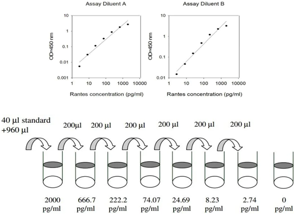 人RANTES(CCL5)ELISA試劑盒