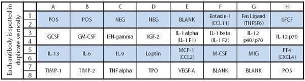 RayBio C系列小鼠血管生成抗體陣列1試劑盒