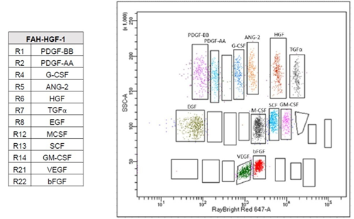 RayPlex人生長因子珠陣列1