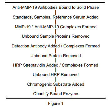 CHO MMP-19 ELISA試劑盒