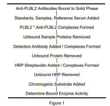 CHO PLBL2 ELISA試劑盒