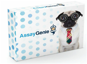 人GPR37L1(前絲素受體GPR37L1)ELISA試劑盒