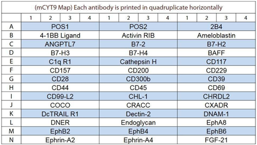 小鼠細(xì)胞因子陣列GS9