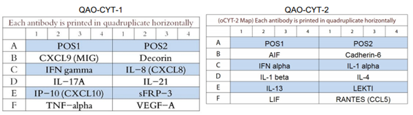 綿羊細胞因子芯片GS20
