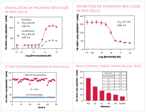 THUNDER 磷酸化BTK (Y223)時(shí)間分辨熒光共振能量轉(zhuǎn)移細(xì)胞信號(hào)檢測(cè)試劑盒