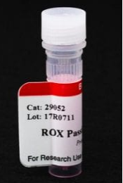 ROX被動參比染料