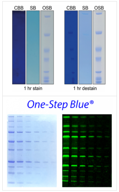 Simply Blue? SafeStain 