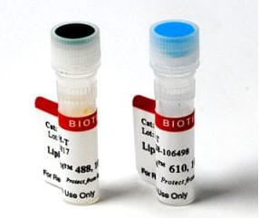 LipidSpot染料可快速染色活細(xì)胞或固定細(xì)胞中的脂滴，無需洗滌步驟。提供綠色或紅色/遠(yuǎn)紅色熒光。