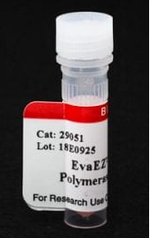 EvaEZ熒光DNA聚合酶活性測(cè)定