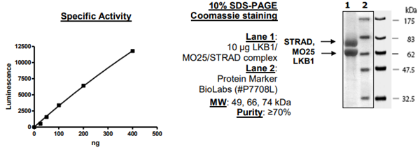 LKB1/MO25/STRAD復(fù)合物重組數(shù)據(jù)庫