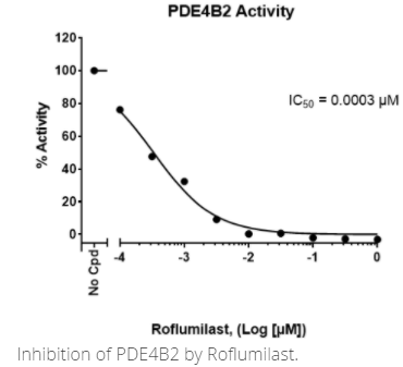 PDE4B2實(shí)驗(yàn)試劑盒