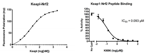 KEAP1-Nrf2抑制劑篩選檢測(cè)試劑盒
