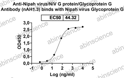 重組尼帕病毒G蛋白/糖蛋白G蛋白
