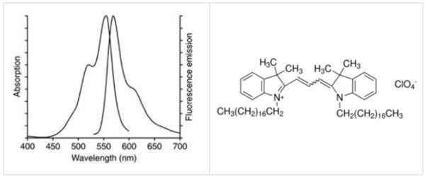 Liposoma-單核巨噬細(xì)胞示蹤脂質(zhì)體Dil LPOSOME