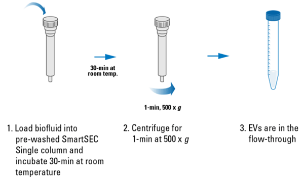 SmartSEC單個囊泡分離系統(tǒng)
