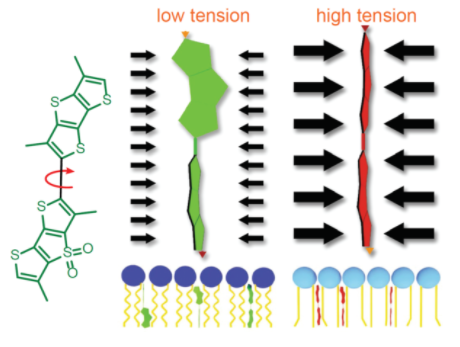 Flipper TR膜張力傳感器