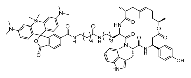 SiR-肌動(dòng)蛋白試劑盒