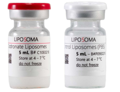 Liposoma BV