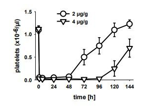 小鼠血小板耗竭的抗GPIbα（R300）處理