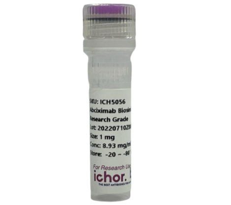 抗人CD2(G11)抗體(散裝)