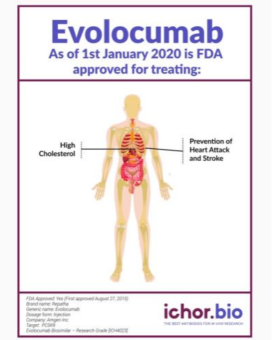 依洛尤單抗生物類似藥(研究級)