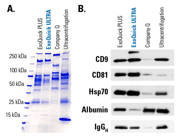 ExoQuick ULTRA-1.png