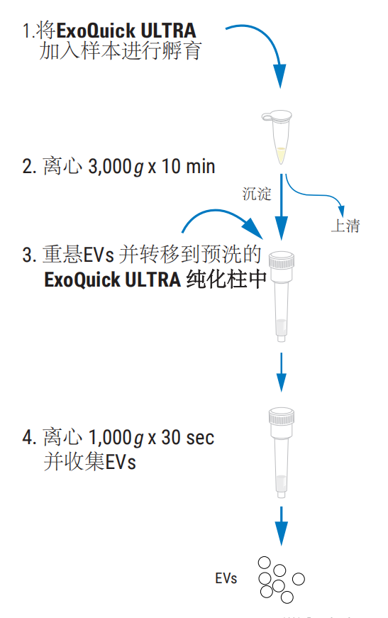 ExoQuick ULTRA-2.png