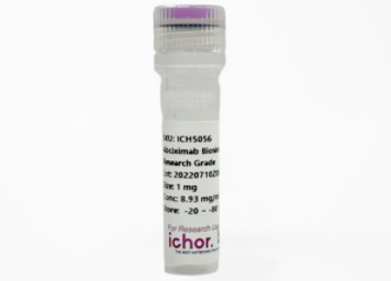 Ichorbio,抗-CD86(GL1)體內(nèi)抗體