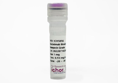 體內(nèi)低內(nèi)毒素小鼠IgG1(HKSP84)