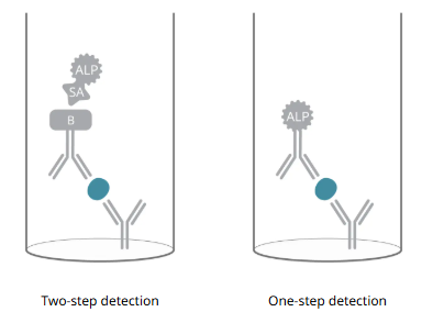 two-step detection.png