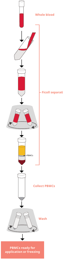 PBMCs.png