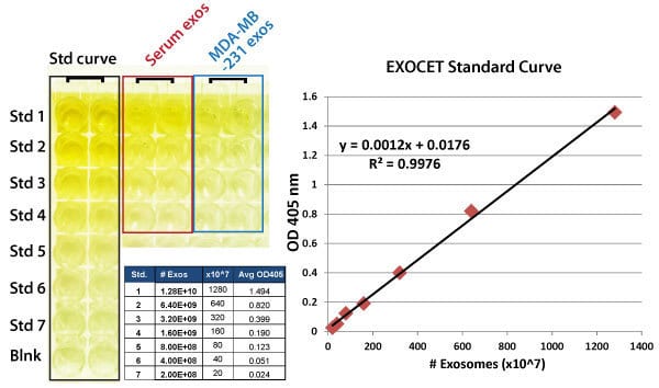 exocet-sample-data.jpg