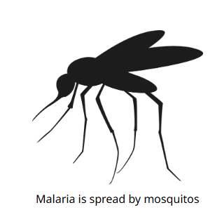 Malaria.png