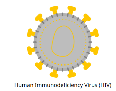 HIV.png