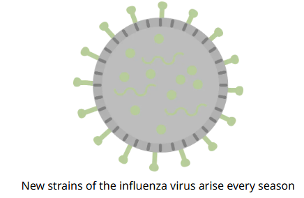virus.png