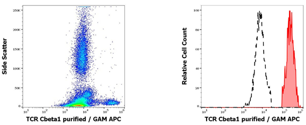 抗人TCR Cbeta1純化抗體